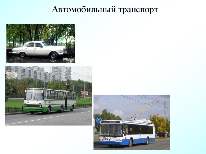 Автомобильный транспорт